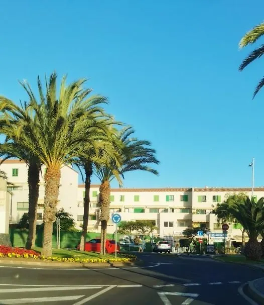 Tropical Haven On Tenerife 阿罗纳 公寓